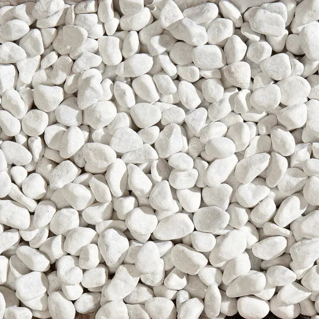 Ciottolo Bianco Carrara: eleganza naturale per giardini, vialetti e decorazioni di pregio